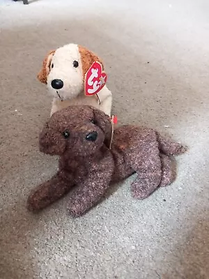 Buy Ty Beanie Babies Rufus And Fetcher The Dogs • 5.50£