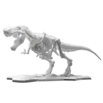 Buy Bandai Hobby - Tyrannosaurus, Bandai Spirits Hobby Dinosaur Model Ki (US IMPORT) • 22.74£