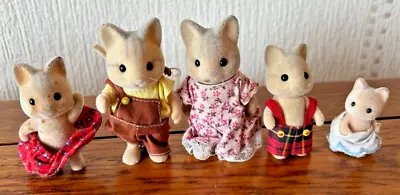 Buy Sylvanian Families | Catwood Family | Vintage • 19.50£