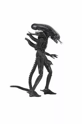 Buy NECA Alien 40th Anniversary - The Alien (Xenomorph) 7 Inch Scale Action Figure • 59.99£