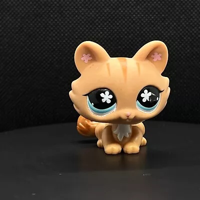 Buy  Littlest Pet Shop #649 Crouching Kitty Kitten Cat / Original LPS • 4.49£