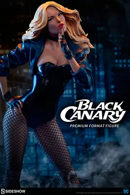 Buy BLACK CANARY Premium Format™ Figure By Sideshow Collectibles • 599.77£