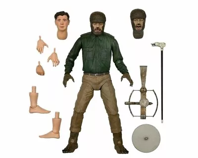 Buy (NECA) Universal Monsters Wolfman Ultimate 7  Action Figure (Colour) • 299.95£