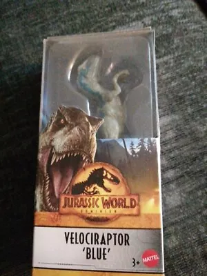 Buy Jurassic World Velociraptor Blue Basic 6” Dinosaur Action Figure  • 10.99£