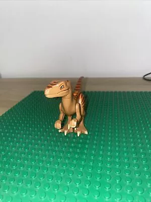 Buy Lego Velociraptor • 8£