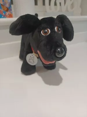 Buy Hasbro 2001 Merlin Black Magical Puppy Dog 12  Vgc • 8£