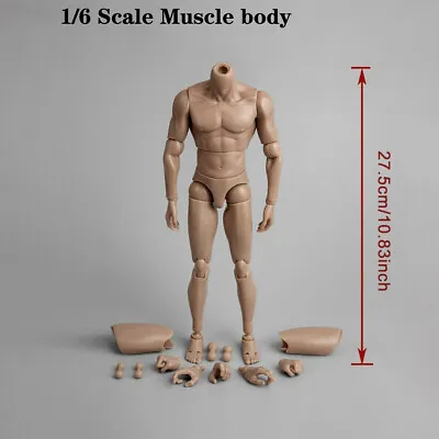 Buy ZC Toys 12  Muscular Male Action Figure Body Fit 1/6 Scale Hot Toys Head Sculpt • 19.57£