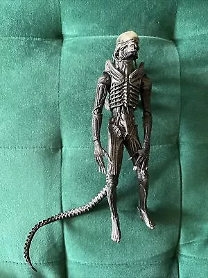 Buy Neca Alien Isolation Xenomorph Figure • 59.99£
