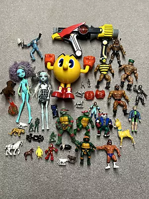 Buy Vintage Toy Job Lot Figure Bundle He-Man TMNT WWF Hasbro Monster High Thundercat • 6.50£