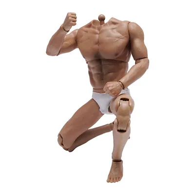 Buy WorldBox AT017 1/6 Muscular No Neck Body Strong Durable 12  For HOT TOYS Head • 51.52£