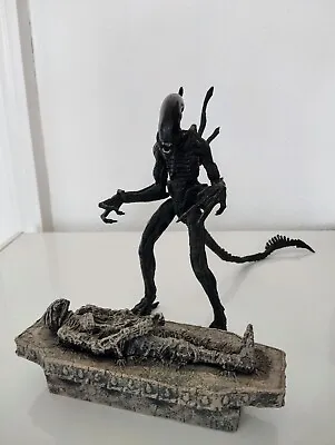 Buy Alien Vs Predator 2004 Battle Alien (McFarlane Toys/Fox Figure) • 15£