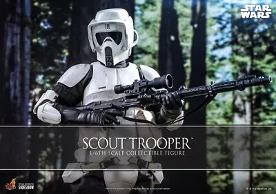 Buy Star Wars Hot Toys MMS611 Scout Trooper NEW • 249.99£