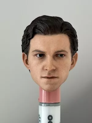 Buy Hot Toys Official 1/6 Peter Parker Head Sculpt Spiderman Homecoming Tom Holland • 69.99£