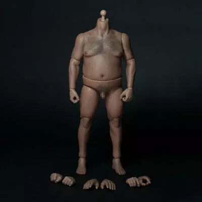 Buy 1/6 Scale Male Plump Fat Figure Body Model For Phicen Hot Toys WWE Head Sculpt • 62.99£