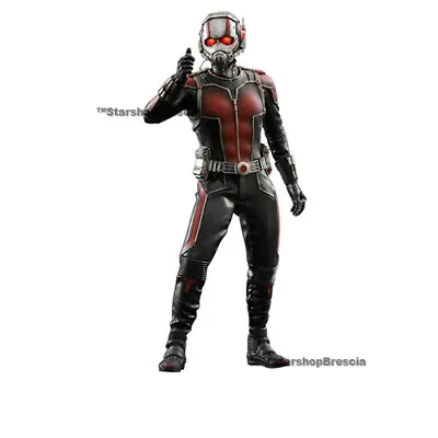 Buy MARVEL - Ant-Man Movie Masterpiece 1/6 Action Figure 12  MMS308 Hot Toys • 372.23£