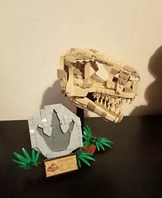 Buy LEGO Jurassic World: Dinosaur Fossils: T. Rex Skull (76964) • 16£