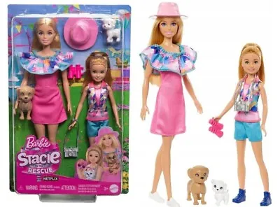 Buy BARBIE DOLL STACIE DOLL Set Of 2 Dolls + 2 Dogs HRM09 Mattel • 62.78£