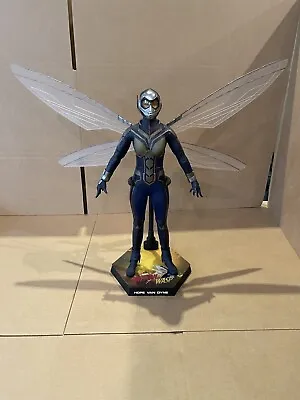 Buy MMS498 Hot Toys Ant-Man And The Wasp The Wasp (Displayed) • 225£