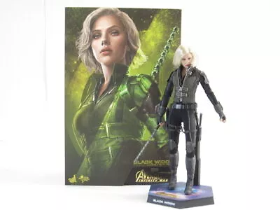 Buy 1/6 Figure Hot Toys Movie Masterpiece Marvel Avengers Infinity War Black Widow • 143.79£