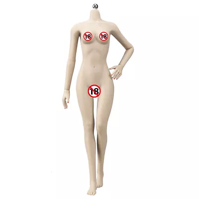 Buy 1/6 Seamless Medium Bust Female Body Figure Fit Phicen Hot Toys Head White Skin • 48.56£