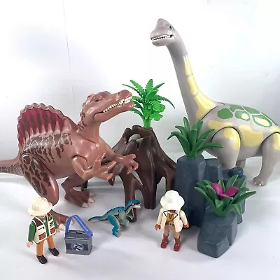 Buy Playmobil Dinosaur Bundle Spinosaurus Brachiosaurus/Diplodocus Raptor Figures • 32.99£