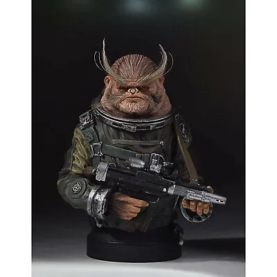 Buy Gentle Giant Star Wars Rogue One A Star Wars Story 1/6 Bistan Mini Bust  • 120£