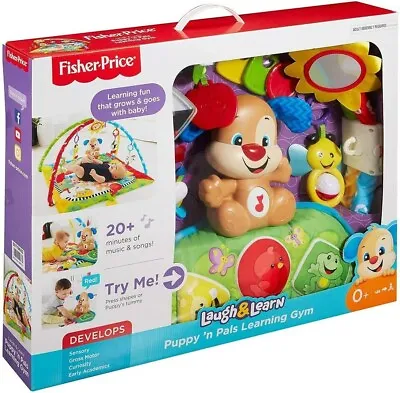 Buy Fisher-Price Puppy And Friends Learning Gym Newborn Baby Play Mat Music Sounds • 59.99£