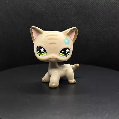 Buy Littlest Pet Shop #483 Toy | Grey Short Hair Cat / Flower Eyes  • 14.99£