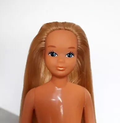 Buy 1985 Barbie European Sea Lovin' Maritime Skipper Doll #9111 RARE Vintage 80's Rare • 15.44£