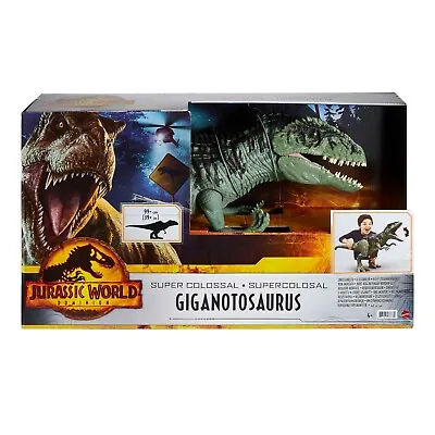 Buy Jurassic World Super Colossal Giganotosaurus Dinosaur - GWD68 • 32.99£
