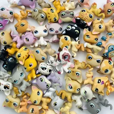Buy 5Pcs/lot Littlest Pet Shop Toys Lps Toy Rare Kitty All Random Send From Old Cats • 15.16£