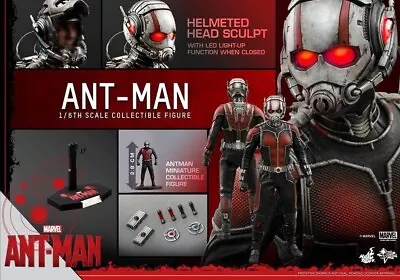 Buy HOT TOYS ANT-MAN MMS 308 With Brown Box/with Brown Box • 278.36£