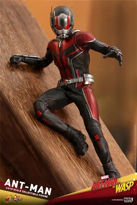Buy In Hand! New Hot Toys Avengers MMS497 ANT-MAN AND THE WASP 1/6 ANT-MAN Figure  • 207£