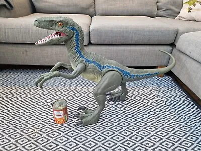 Buy Mattel Jurassic World Super Colossal Velociraptor Blue Large Dinosaur Figure • 29.99£