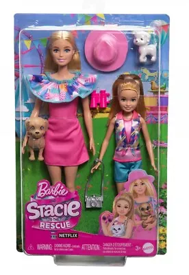 Buy Mattel Barbie Stacie & Barbie Pack Of 2 • 33.04£