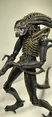 Buy NECA 7  Alien Action Figures Series 2 Xenomorph Warrior (Brown) Action Figure • 19.99£