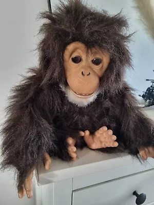Buy Furreal Friends Cuddle Chimp Interactive Monkey 2005 Hasbro Working • 35£