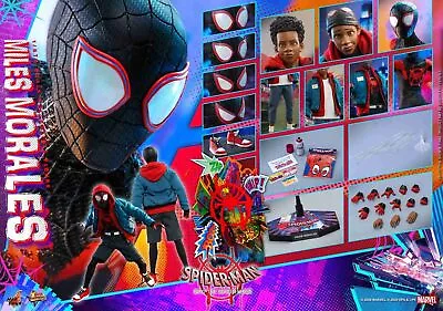 Buy In Stock Hottoys Hot Toys Mms567 Spider-Man Into The Spider-Verse Miles Morales/ • 502.71£