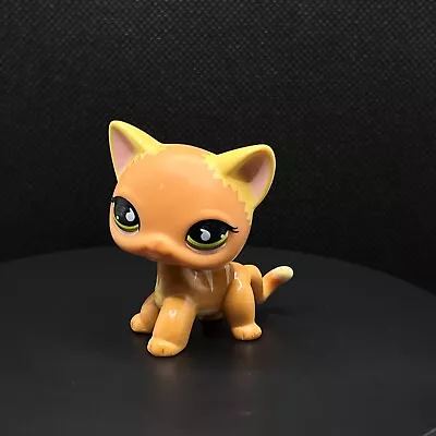 Buy Littlest Pet Shop LPS Shorthair Orange Cat Chat #525 Green Eyes  • 19.99£