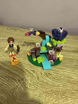 Buy LEGO Elves: Emily Jones & The Baby Wind Dragon (41171) • 10£