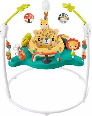 Buy Fisher-Price Jumperoo Baby Activity Center With Lights Sounds And Music, Intera • 104.28£
