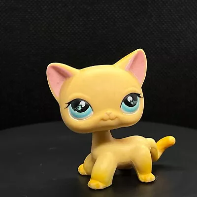 Buy Littlest Pet Shop #339 Brooke Orange Shorthair Cat Blue Eyes LPS • 34.99£