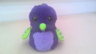 Buy Hatchimals Draggle Purple & Green Interactive Electronic Pet Spin Master • 25£
