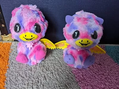 Buy Hatchimals Twins Soft Toys- Talking Interactive Dragons By Spinmaster Working • 4.99£