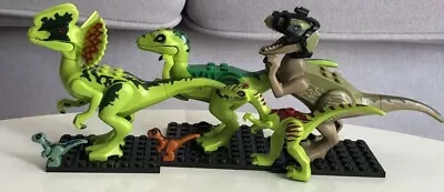 Buy Lego Jurassic World Dinosaurs! Inc Raptors, Coelophysis Gallimimus! • 37.99£