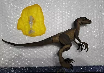 Buy Mattel Amber Collection - Velociraptor - Jurassic Park • 45£
