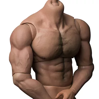 Buy Worldbox 1/6 Scale Durable Body-ripped Body Super Strong 12  Figure Fit Hot Toys • 73.11£