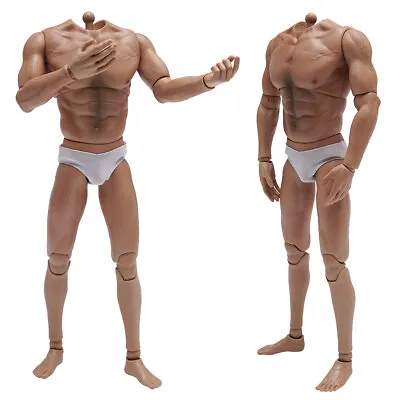 Buy 1/6 WORLDBOX AT017 Muscular Durable Body Super Strong 12  Male Figure F Hot Toys • 46.63£
