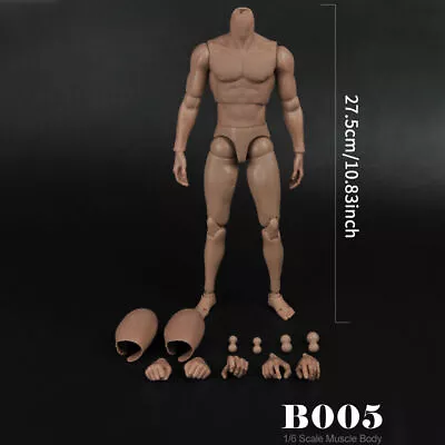 Buy 1/6 Scale 12  Caucasian Male Man Neck Figure Body Model For Hot Toys Head Sculpt • 19.57£