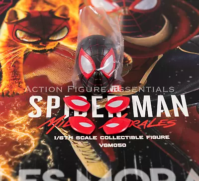 Buy Hot Toys Spider-Man Miles Morales Bodega Head Sculpt + Eyes VGM50  1/6 Marvel • 49.99£